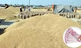 13,518 किसानों को अभी भी नहीं मिला धान का भुगतान 13,518 किसानों को अभी भी नहीं मिला धान का भुगतान