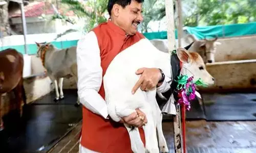 मध्यप्रदेश में दुग्ध उत्पादन से दोगुनी होगी पशुपालक किसानों की आय - मुख्यमंत्री डॉ. यादव मध्यप्रदेश में दुग्ध उत्पादन से दोगुनी होगी पशुपालक किसानों की आय - मुख्यमंत्री डॉ. यादव