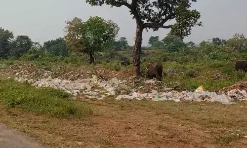 सड़क़ किनारे खुले में फेंका जा रहा घरों से एकत्रित कचडा, हरे भरे स्थल डंपिंग यार्ड में हो रहे तब्दील सड़क़ किनारे खुले में फेंका जा रहा घरों से एकत्रित कचडा, हरे भरे स्थल डंपिंग यार्ड में हो रहे तब्दील