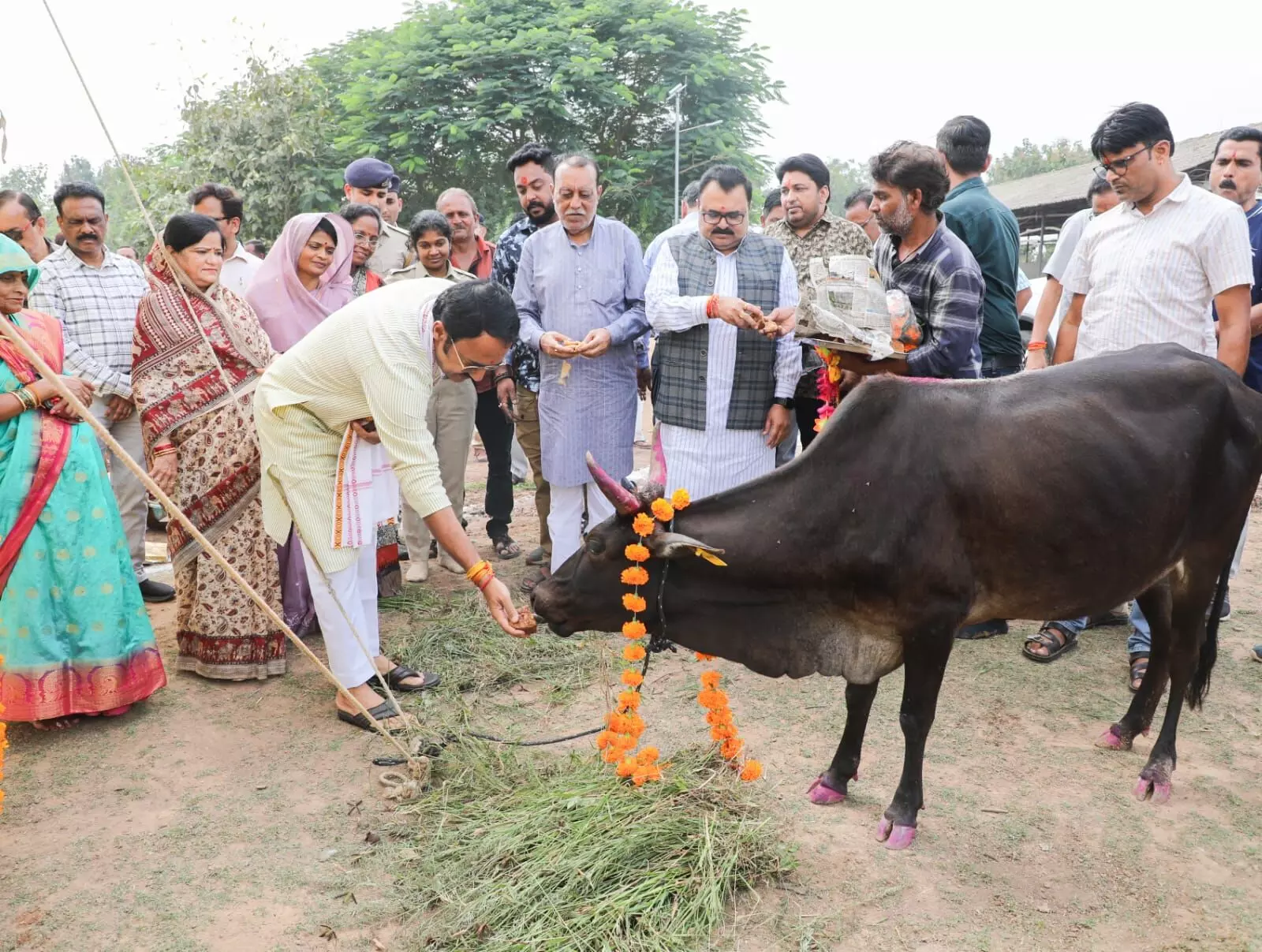 गोवर्धन पूजा पर जिले की गौशालाओं में हुए कार्यक्रम, जनप्रतिनिधि एवं अधिकारियों ने की सहभागिता गोवर्धन पूजा पर जिले की गौशालाओं में हुए कार्यक्रम, जनप्रतिनिधि एवं अधिकारियों ने की सहभागिता