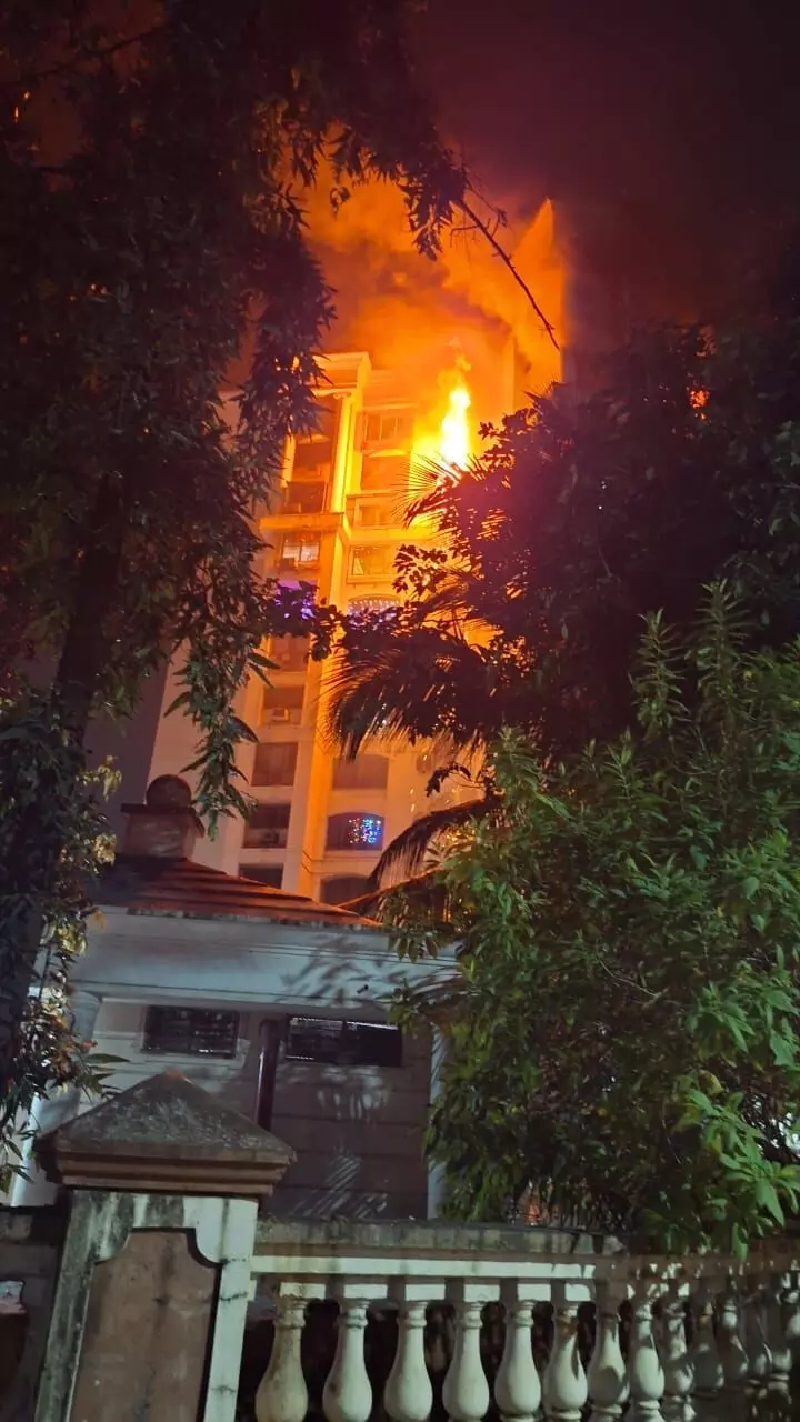 वाशी की बहुमंजिला इमारत में आग लगने से 4 की मौतें, कामोठे में एलपीजी सिलेंडर फटने से मां-बेटी की मौत वाशी की बहुमंजिला इमारत में आग लगने से 4 की मौतें, कामोठे में एलपीजी सिलेंडर फटने से मां-बेटी की मौत