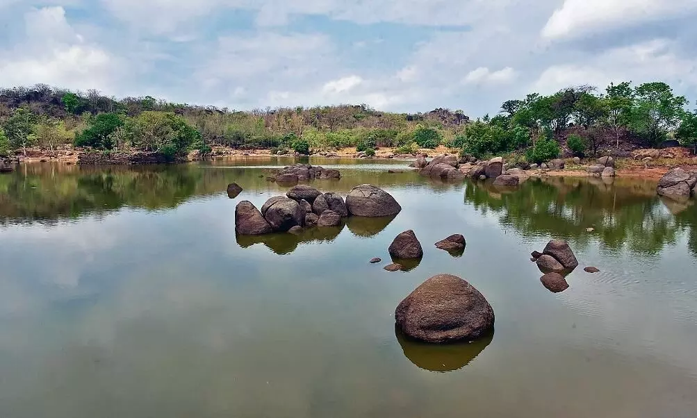 वाइल्ड लाइफ का रोमांच और 35 फीट ऊंचे वॉच टॉवर से दिखेगा खूबसूरती का नजारा वाइल्ड लाइफ का रोमांच और 35 फीट ऊंचे वॉच टॉवर से दिखेगा खूबसूरती का नजारा