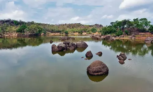 वाइल्ड लाइफ का रोमांच और 35 फीट ऊंचे वॉच टॉवर से दिखेगा खूबसूरती का नजारा वाइल्ड लाइफ का रोमांच और 35 फीट ऊंचे वॉच टॉवर से दिखेगा खूबसूरती का नजारा