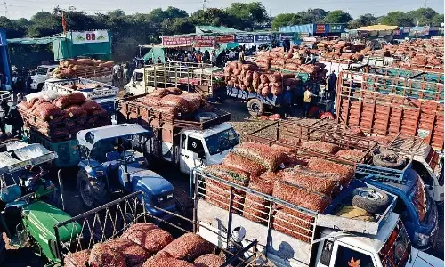 इस बार भी तिरपाल के नीचे बैठकर होगा मटर का व्यवसाय, नई मंडी में इंतजामों का पता नहीं