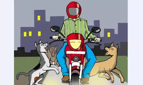 धमाकों की आवाज से खूंखार हुए श्वान अस्पताल में बढ़े डॉग बाइट के मरीज धमाकों की आवाज से खूंखार हुए श्वान अस्पताल में बढ़े डॉग बाइट के मरीज