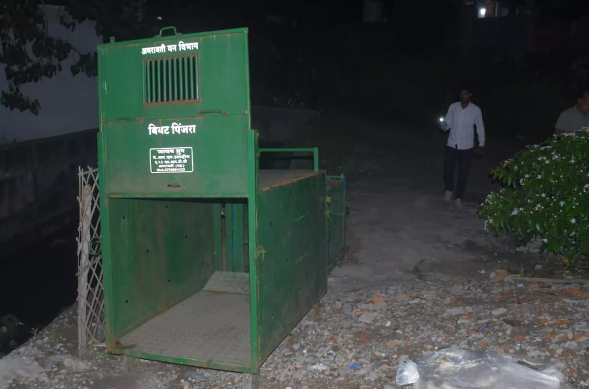 तेंदुए को पकड़ने अमरावती के वरुण नगर में मंदिर के पास लगाया पिंजरा