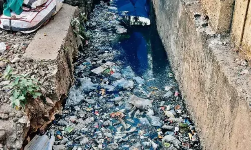नालों के प्रबंधन के मामले में ननि की रिपोर्ट अधूरी नालों के प्रबंधन के मामले में ननि की रिपोर्ट अधूरी