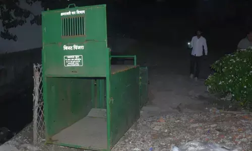 तेंदुए को पकड़ने अमरावती के वरुण नगर में मंदिर के पास लगाया पिंजरा तेंदुए को पकड़ने अमरावती के वरुण नगर में मंदिर के पास लगाया पिंजरा