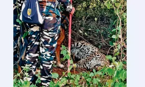 गोयनका की निसर्ग इस्पात फैक्ट्री कैम्पस के चप्पे-चप्पे पर है जांच टीम की नजर गोयनका की निसर्ग इस्पात फैक्ट्री कैम्पस के चप्पे-चप्पे पर है जांच टीम की नजर
