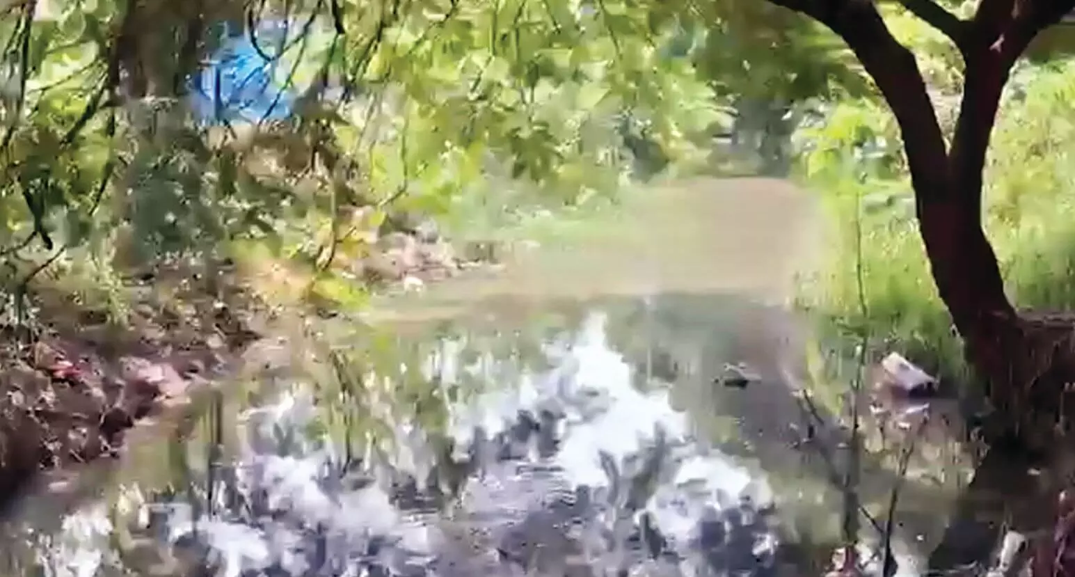 जॉयविला हाउसिंग प्रोजेक्ट पर 10 लाख रुपए का जुर्माना जॉयविला हाउसिंग प्रोजेक्ट पर 10 लाख रुपए का जुर्माना