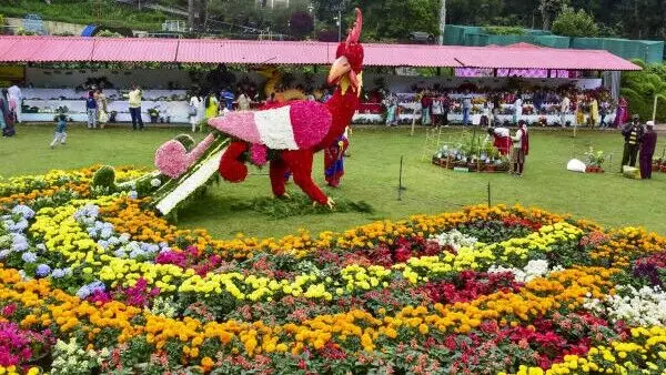 परली वैजनाथ में पशुपक्षी प्रदर्शनी पर खर्च होंगे 5 करोड़ 84 लाख, मंत्री पंकजा के गृहनगर में होगा आयोजन परली वैजनाथ में पशुपक्षी प्रदर्शनी पर खर्च होंगे 5 करोड़ 84 लाख, मंत्री पंकजा के गृहनगर में होगा आयोजन