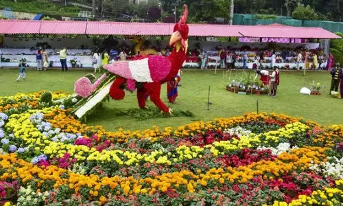 परली वैजनाथ में पशुपक्षी प्रदर्शनी पर खर्च होंगे 5 करोड़ 84 लाख, मंत्री पंकजा के गृहनगर में होगा आयोजन परली वैजनाथ में पशुपक्षी प्रदर्शनी पर खर्च होंगे 5 करोड़ 84 लाख, मंत्री पंकजा के गृहनगर में होगा आयोजन