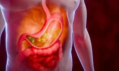 गैस-कब्ज जैसी समस्याओं से रहते हैं परेशान? अगर हां तो इन टिप्स पर करें गौर, पाचन हमेशा रहेगा अच्छा गैस-कब्ज जैसी समस्याओं से रहते हैं परेशान? अगर हां तो इन टिप्स पर करें गौर, पाचन हमेशा रहेगा अच्छा