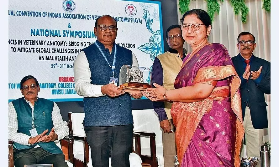 अब पशुओं की बीमारी के डायग्नोस में होगी आसानी अब पशुओं की बीमारी के डायग्नोस में होगी आसानी