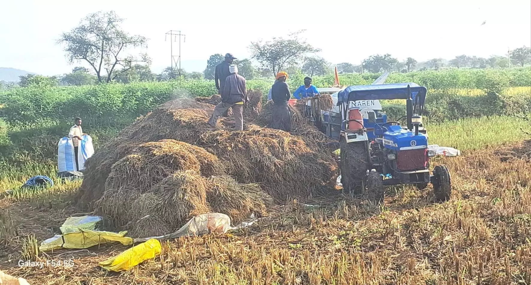 किसान अब जमींदोज हुए धान को बचाने की जद्दोजहद में किसान अब जमींदोज हुए धान को बचाने की जद्दोजहद में