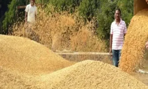 अब तक नहीं खुले धान खरीदी केंद्र, औने-पौने दाम पर बेचना मजबूरी