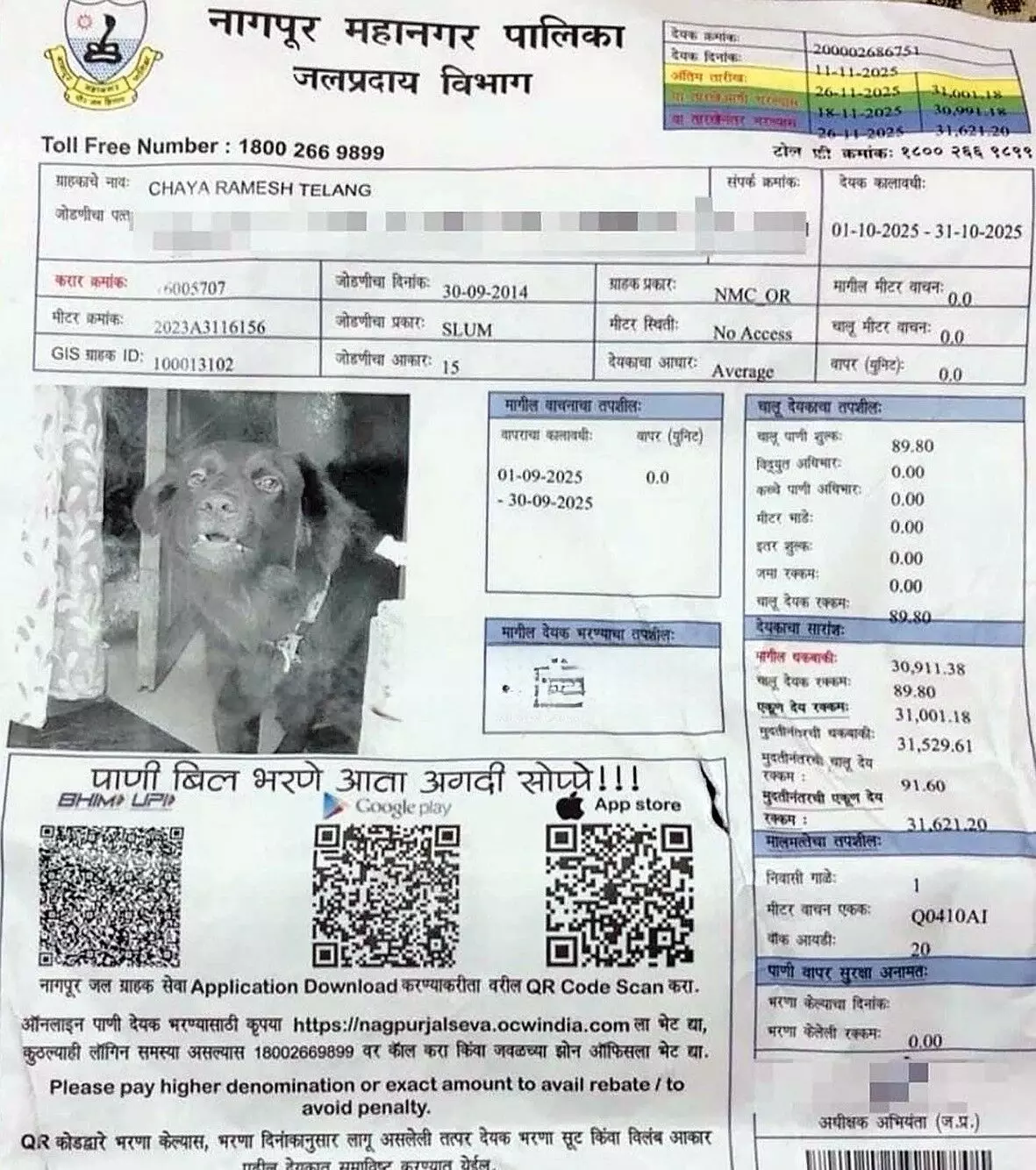 घर मालिक सावधान, पानी के बिल पर पालतू श्वान, बगैर मीटर की तस्वीरें लौटने पर कंपनी से फटकार घर मालिक सावधान, पानी के बिल पर पालतू श्वान, बगैर मीटर की तस्वीरें लौटने पर कंपनी से फटकार