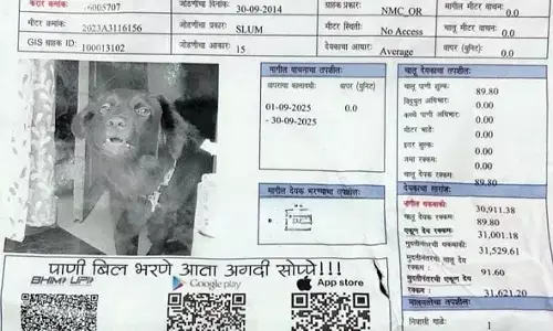घर मालिक सावधान, पानी के बिल पर पालतू श्वान, बगैर मीटर की तस्वीरें लौटने पर कंपनी से फटकार