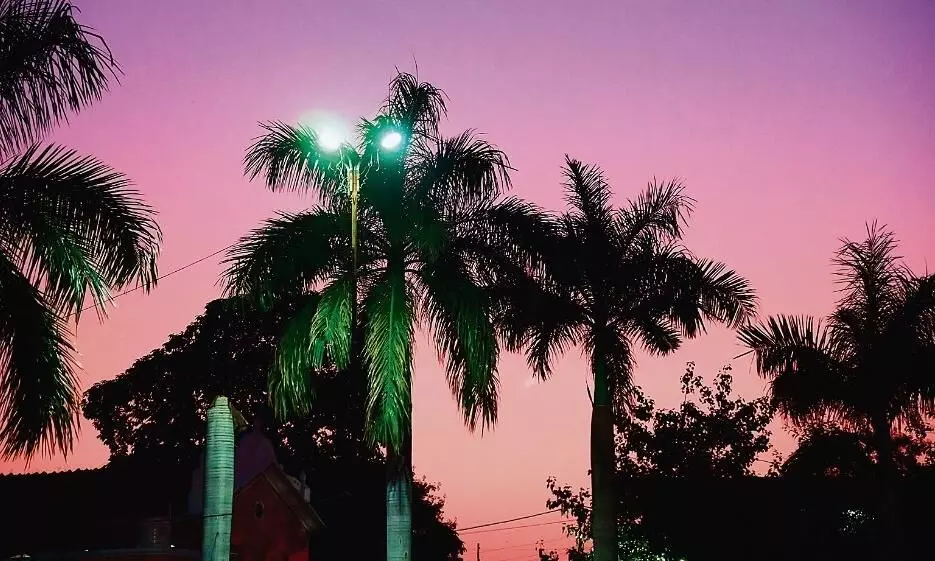 जल्द ही 3 से 4 डिग्री तक नीचे आएगा न्यूनतम तापमान जल्द ही 3 से 4 डिग्री तक नीचे आएगा न्यूनतम तापमान