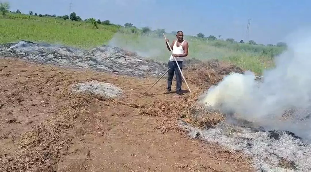 फसलें बर्बाद होने से परेशान किसान ने जला दी 6 एकड़ की सोयाबीन फसलें बर्बाद होने से परेशान किसान ने जला दी 6 एकड़ की सोयाबीन