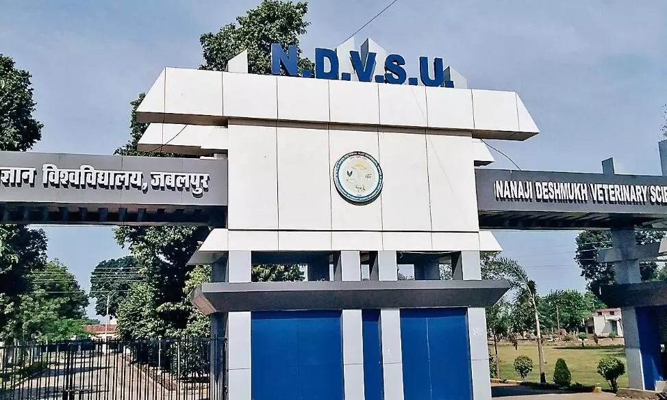 पशुपालकों व किसानों के साथ कदमताल करना वीयू का कर्तव्य पशुपालकों व किसानों के साथ कदमताल करना वीयू का कर्तव्य