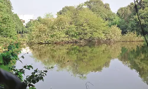 जेल के एक तालाब का अस्तित्व खत्म, 3 में पाली जा रहीं मछलियां