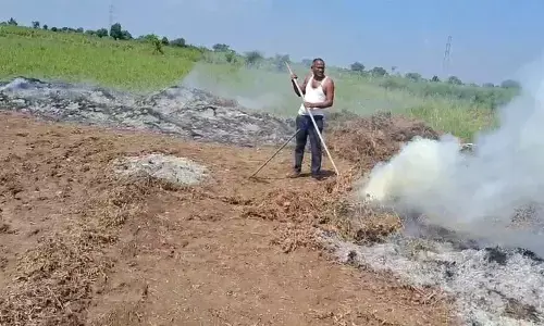 फसलें बर्बाद होने से परेशान किसान ने जला दी 6 एकड़ की सोयाबीन