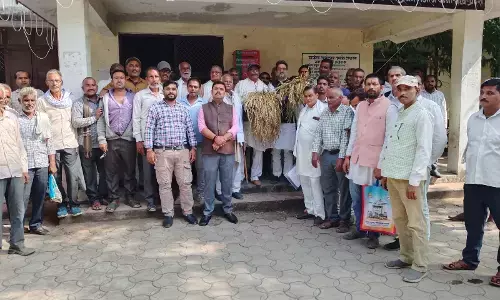 अतिवृष्टि से हुई फसलों का तत्काल कराया जाए सर्वे: आनंद शुक्ला