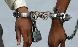 रुद्धा में पिता -पुत्र की नृशंस हत्या का पुलिस ने आठ घंटे में किया पर्दाफाश रुद्धा में पिता -पुत्र की नृशंस हत्या का पुलिस ने आठ घंटे में किया पर्दाफाश