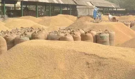 धान खरीदी : सोमवार से शुरू होने वाली पंजीयन प्रक्रिया अब 15 दिन बाद धान खरीदी : सोमवार से शुरू होने वाली पंजीयन प्रक्रिया अब 15 दिन बाद