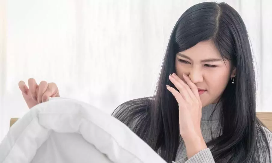 सर्दियों में जल्दी नहीं निकलती धूप, तो रजाई की बदबू से कैसे पाएं छुटकारा? यहां मिलेगा जवाब सर्दियों में जल्दी नहीं निकलती धूप, तो रजाई की बदबू से कैसे पाएं छुटकारा? यहां मिलेगा जवाब