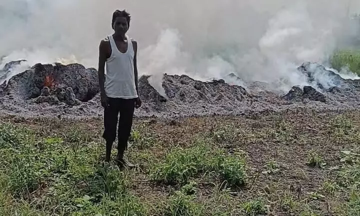 बारिश, नमी से पुन: अंकुरित पांच एकड़ की सोयाबीन को किसान ने लगा दी आग बारिश, नमी से पुन: अंकुरित पांच एकड़ की सोयाबीन को किसान ने लगा दी आग