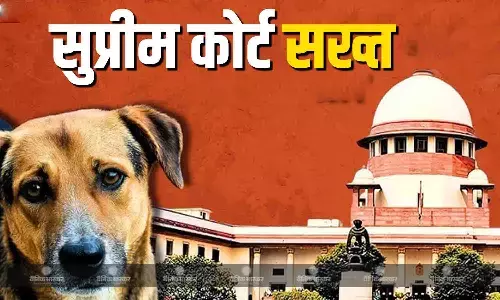 स्कूल, कॉलेज और अस्पताल से हटाएं.. नसबंदी कर शेल्टर होम में रखें.., आवारा कुत्तों को लेकर सुप्रीम कोर्ट का बड़ा आदेश स्कूल, कॉलेज और अस्पताल से हटाएं.. नसबंदी कर शेल्टर होम में रखें.., आवारा कुत्तों को लेकर सुप्रीम कोर्ट का बड़ा आदेश