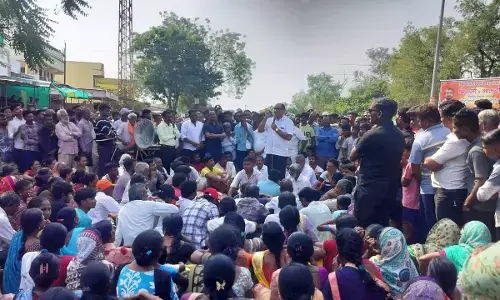 बाघ के हमले में एक और ने गंवाई जान, तीन बैल भी बने शिकार बाघ के हमले में एक और ने गंवाई जान, तीन बैल भी बने शिकार