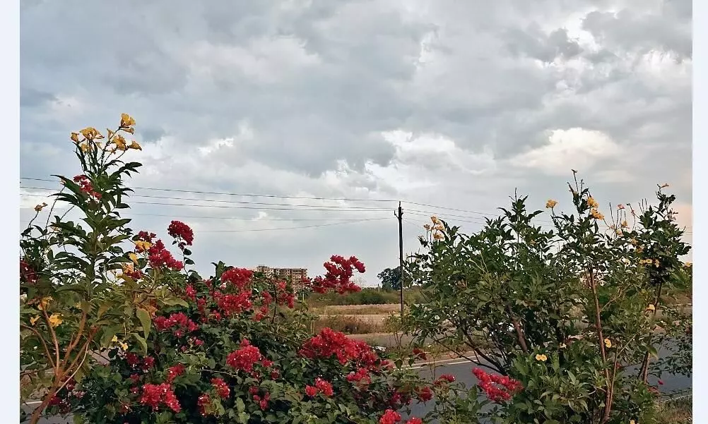 सर्दी की दस्तक, दिन-रात के तापमान गिरे सर्दी की दस्तक, दिन-रात के तापमान गिरे