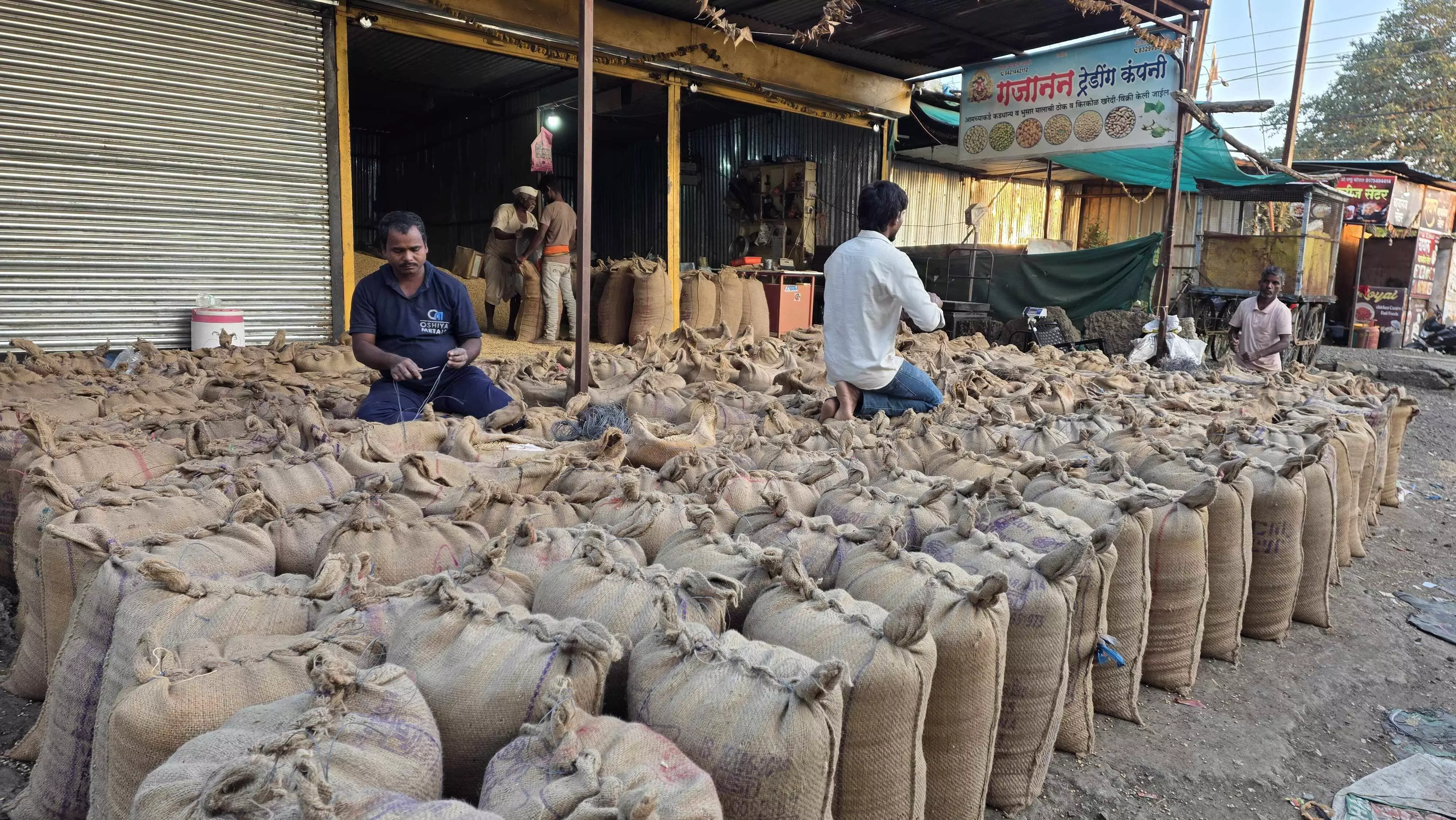 किसानों के लिए गारंटीकृत मूल्य सोयाबीन खरीद केंद्र या व्यापारियों के लिए -डॉ. गणेश ढवले