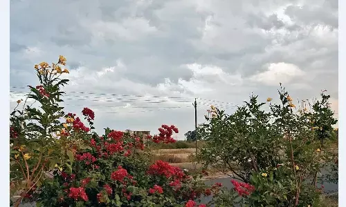 सर्दी की दस्तक, दिन-रात के तापमान गिरे