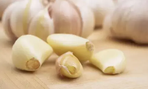 ठंड में रहते हैं सर्दी-झुखाम से परेशान, तो इस जड़ी बूटी का करें उपयोग, घर में ही मिल जाएगा बीमारी से छुटकारा