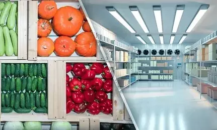 फूड स्टोरेज क्षेत्र में होगी क्रांति, जल्द महाराष्ट्र में आ रही आधुनिक विदेशी तकनीक- नरहरि झिरवाल फूड स्टोरेज क्षेत्र में होगी क्रांति, जल्द महाराष्ट्र में आ रही आधुनिक विदेशी तकनीक- नरहरि झिरवाल