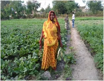 सब्जी उत्पादन ने बदली किस्मत, सोमवती दीदी बनीं लखपति दीदी