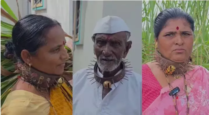 तेंदुओं से जान बचाने के लिए लोगों ने गले में पहने नुकीले कीलों वाले पट्टे