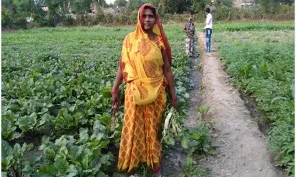 सब्जी उत्पादन ने बदली किस्मत, सोमवती दीदी बनीं लखपति दीदी
