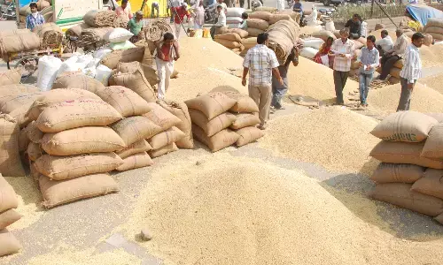 अमरावती में सरकारी सोयाबीन खरीदी को किसानों का नो- रिस्पॉन्स