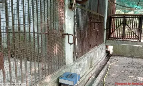 ठंड से बचने के लिए बाघ, तेंदुए को मिला हीटर