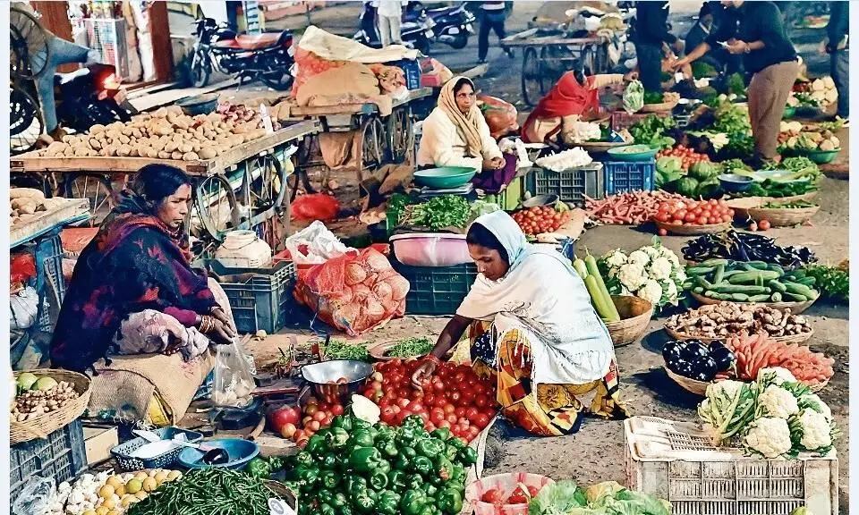 बारिश ने बिगाड़ा पत्तेदार सब्जियों का मिजाज, टमाटर में वायरस का अटैक बारिश ने बिगाड़ा पत्तेदार सब्जियों का मिजाज, टमाटर में वायरस का अटैक