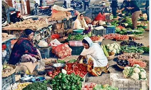 बारिश ने बिगाड़ा पत्तेदार सब्जियों का मिजाज, टमाटर में वायरस का अटैक