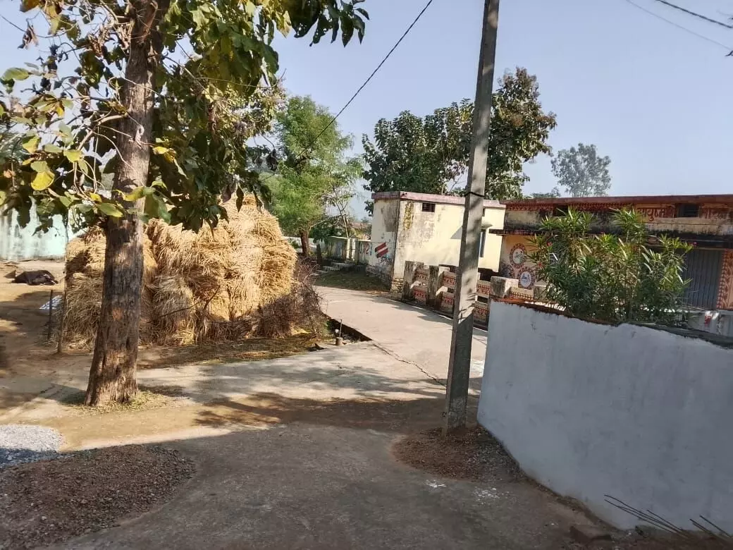 वन चौकी के पास शिक्षक ने किया शासकीय भूमि पर अतिक्रमण, ग्रामीण परेशान