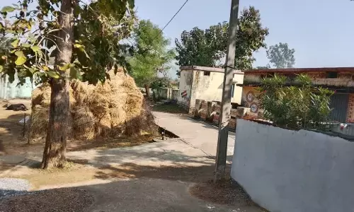 वन चौकी के पास शिक्षक ने किया शासकीय भूमि पर अतिक्रमण, ग्रामीण परेशान