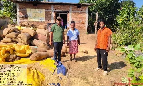 हाथियों ने किसान के घर में घुसकर धान के बोरों को कर दिया तहस-नहस