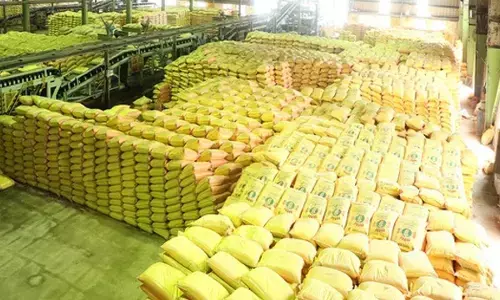 खाद की कालाबाजारी रोकने उर्वरक विभाग की बड़ी कार्रवाई, महाराष्ट्र में एक हजार से अधिक लाइसेंस रद्द